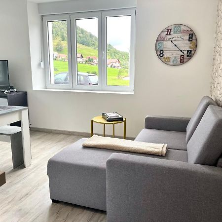 Cocon Lumineux Pres Des Pistes Apartman La Bresse Kültér fotó